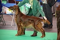 Crufts2011 017